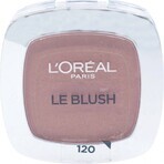 L'Oréal Paris True Match Le Blush 120 1×5 g, colorete