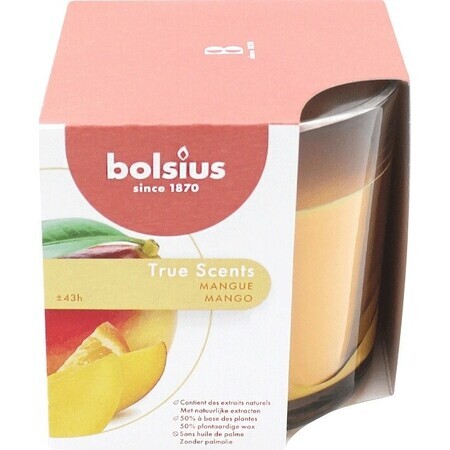 Bolsius Aromatic 2.0 Vela de vidrio perfumada de manzana y canela 1×1 unidad, tamaño 95 x 95 mm