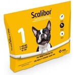 SCALIBOR Cinta protectora 1×1 ud, collar antiparasitario 48 cm