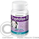 KOMPAVA TRYPTOFAN TRYPTOFAN B+ 500 mg 1×60 cps, food supplement