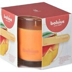 Bolsius Aromatic 2.0 Botella para vela perfumada Mango 1×1 unidad, tamaño 95 x 95 mm