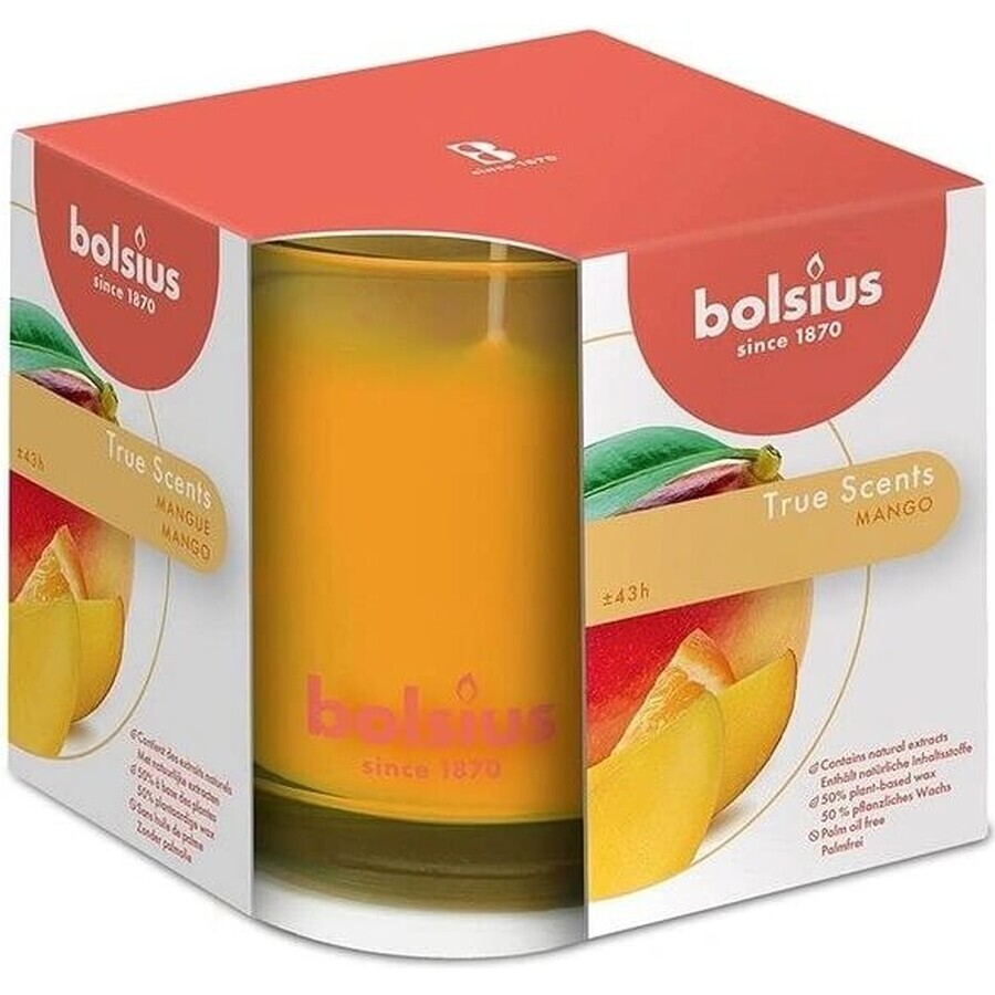 Bolsius Aromatic 2.0 Botella para vela perfumada Mango 1×1 unidad, tamaño 95 x 95 mm