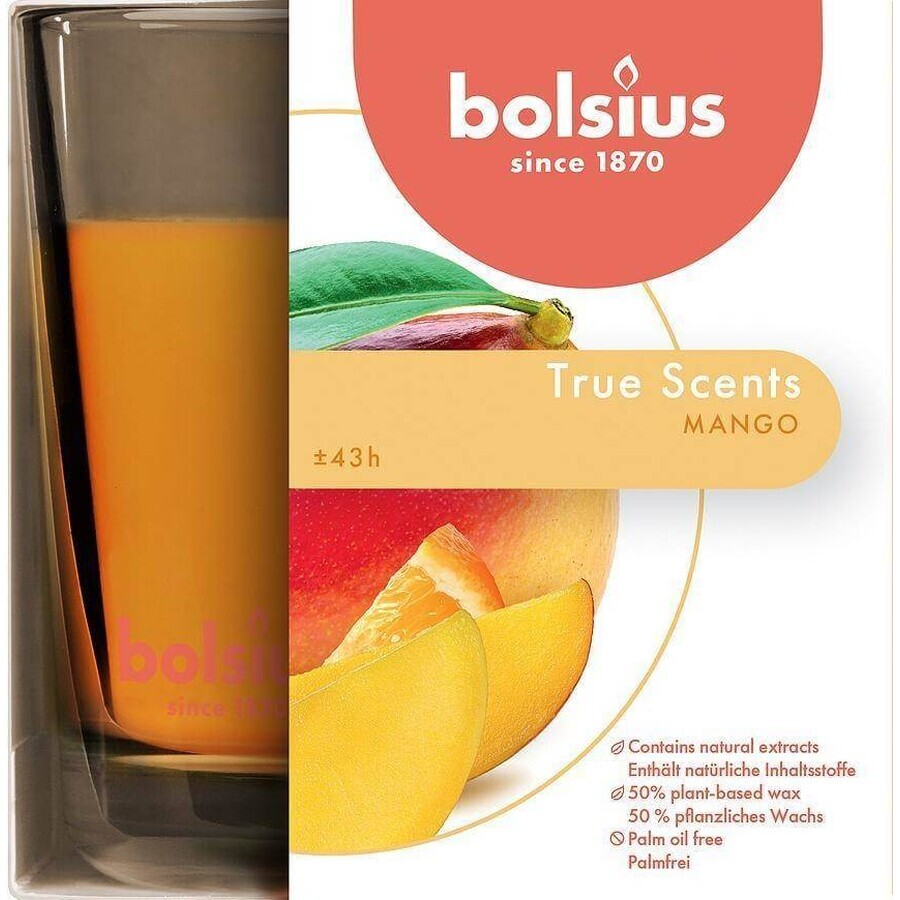 Bolsius Aromatic 2.0 Botella para vela perfumada Mango 1×1 unidad, tamaño 95 x 95 mm