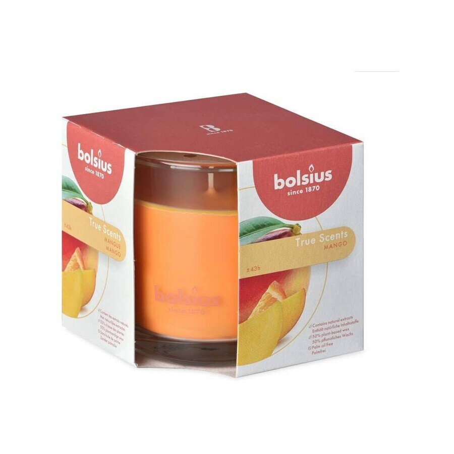 Bolsius Aromatic 2.0 Botella para vela perfumada Mango 1×1 unidad, tamaño 95 x 95 mm