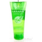 ALPA LESANA GEL 1×100 ml, gel de hierbas