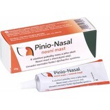 Pinio-Nasal pomada nasal 1×10 g, pomada nasal