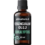 Allnature Eucalyptus essential oil 1×10 ml, essential oil