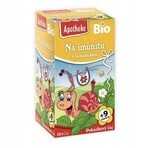 APOTHEKE TALK Para la inmunidad con fresas Bio 20×1,5 g, tisana, a partir del final del 9º mes