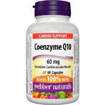 WEBBER NATURALS Coenzima Q10 60 mg 1×60 cps, complemento alimenticio