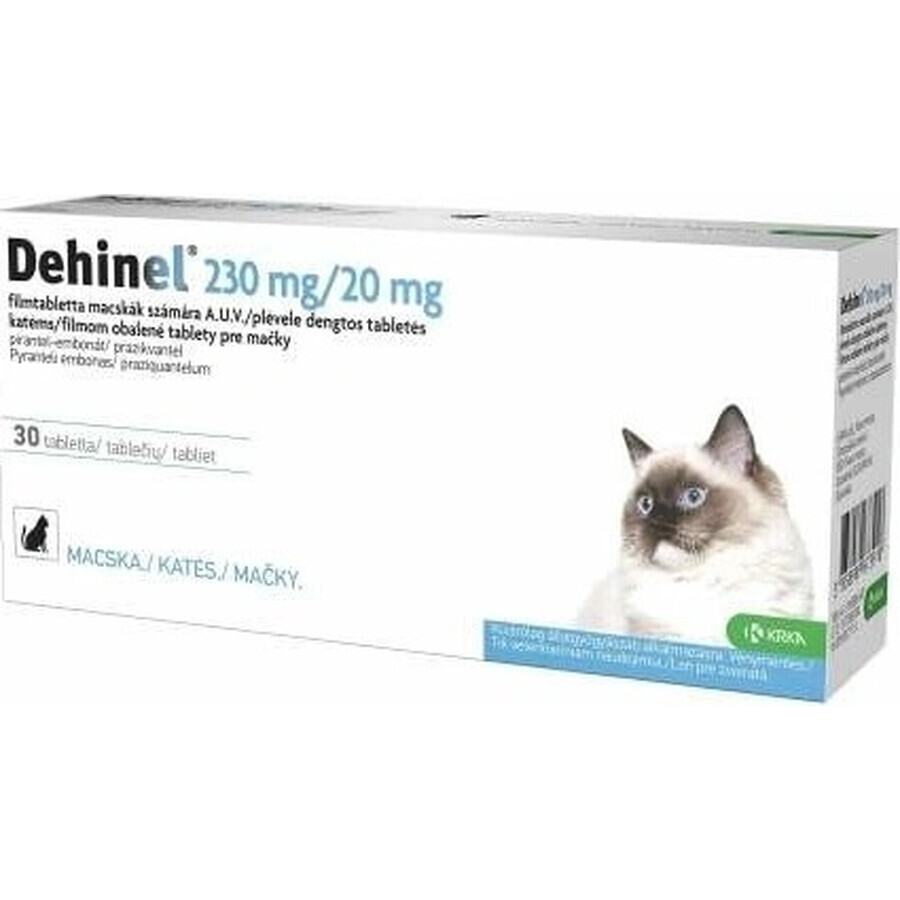 DEHINEL 230 mg/20 mg para gatos 1×30 tbl, medicamento