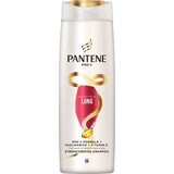 Pantene Pro-V Champú, Infinite Long 1×400 ml, champú