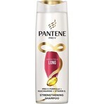 Pantene Pro-V Champú, Infinite Long 1×400 ml, champú