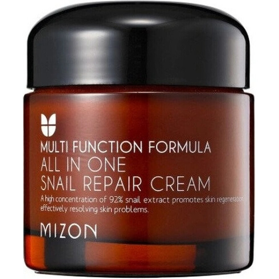 Mizon All In One Schnecken-Reparaturcreme 75 ml 1×75 ml