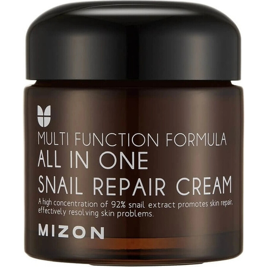 Mizon All In One Schnecken-Reparaturcreme 75 ml 1×75 ml