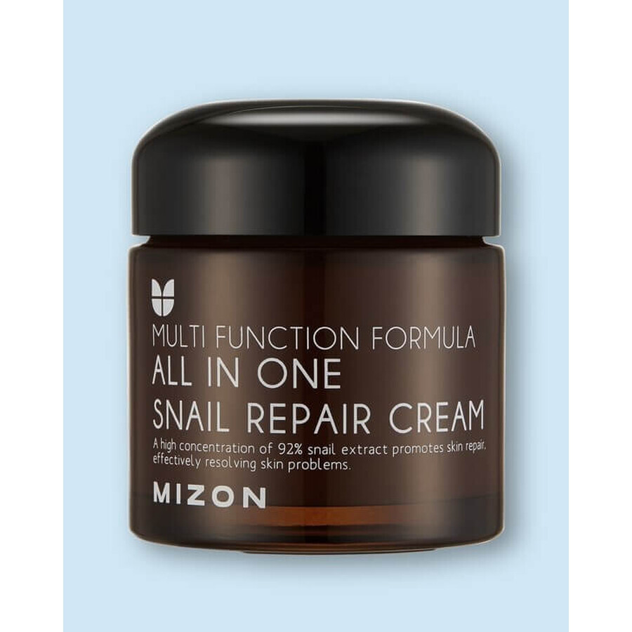 Mizon All In One Schnecken-Reparaturcreme 75 ml 1×75 ml