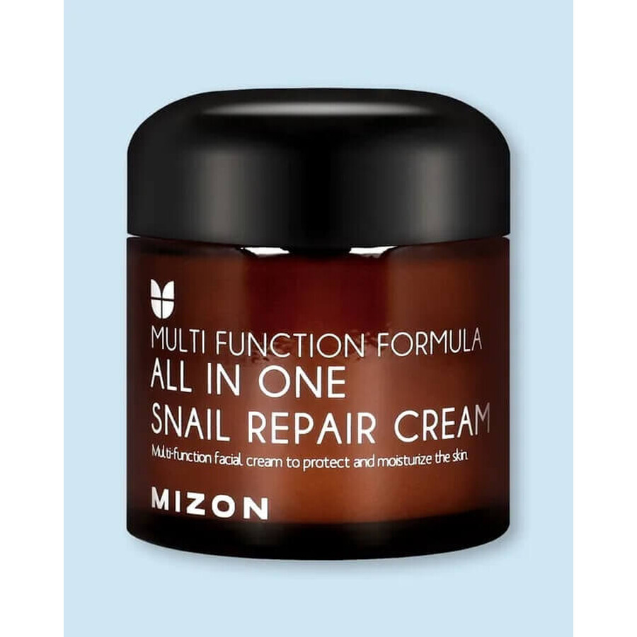 Mizon All In One Schnecken-Reparaturcreme 75 ml 1×75 ml