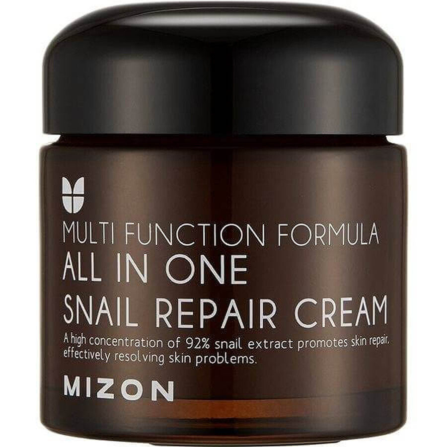 Mizon All In One Schnecken-Reparaturcreme 75 ml 1×75 ml