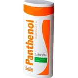 Dr. Müller PANTENOL CHAMPÚ Para cabello graso 1×250 ml, champú