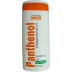 Dr. Müller PANTHENOL SHAMPOO For oily hair 1×250 ml, shampoo