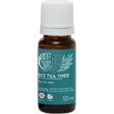 Tierra Verde Tea Tree Olio Essenziale Biologico 30ml 1×1 pz, olio