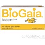 BioGaia ProTectis 1×10 unidades, comprimidos masticables - sabor fresa