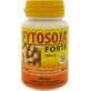 FYTOSOJA FORTE 1×60 cps, suplement diety
