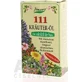 SPRING 111 KRÄUTER-ÖL 1×100 ml, herbal oil