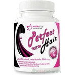 NUTRICIUS Perfect HAIR nuevo 1×100 tbl (metionina 500 mg)