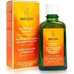 WELEDA Sanddorn Vitalisierendes Öl 1×100 ml, Öl