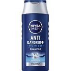 Nivea Men Power Champú anticaspa 1×250 ml, champú