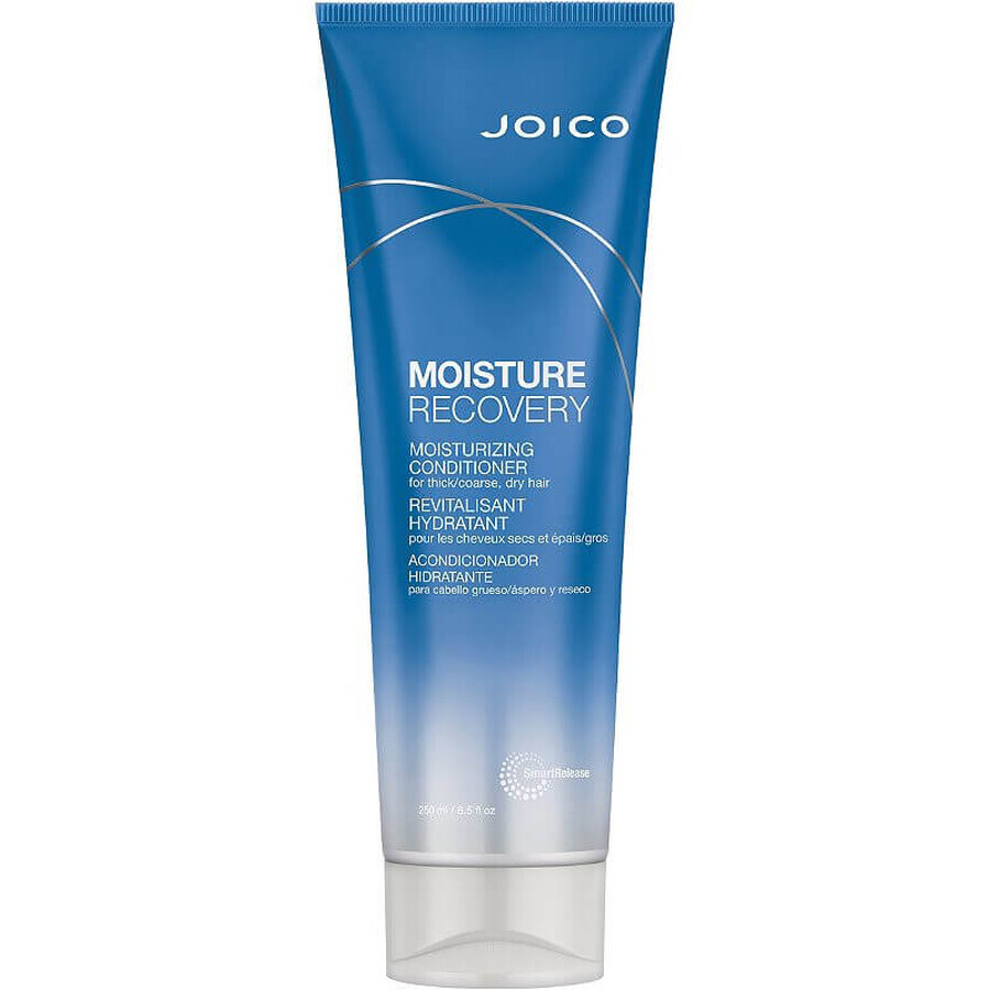 Conditionneur pour cheveux Moisture Recovery, 250ml, Joico