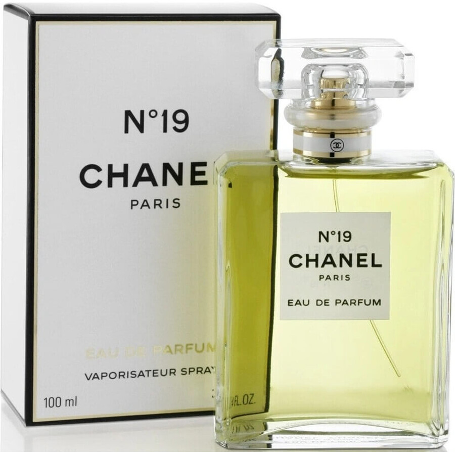 Chanel No. 19 Edp 100ml 1×100 ml 1×100 ml, eau de parfum