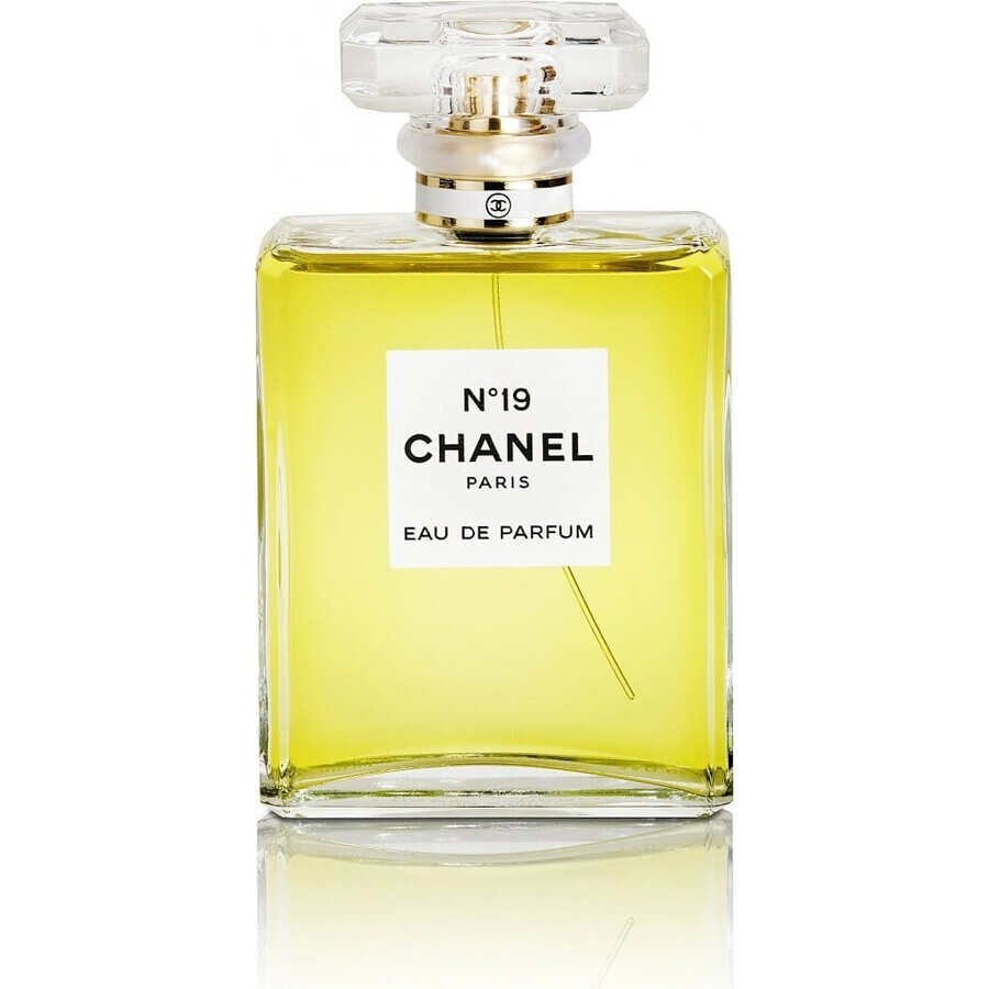 Chanel No. 19 Edp 100ml 1×100 ml 1×100 ml, eau de parfum