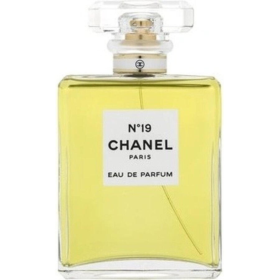 Chanel No. 19 Edp 100ml 1×100 ml 1×100 ml, eau de parfum