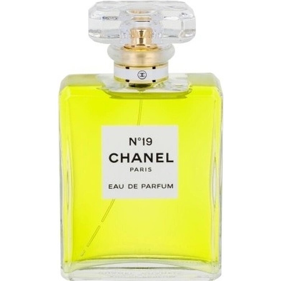 Chanel No. 19 Edp 100ml 1×100 ml 1×100 ml, eau de parfum