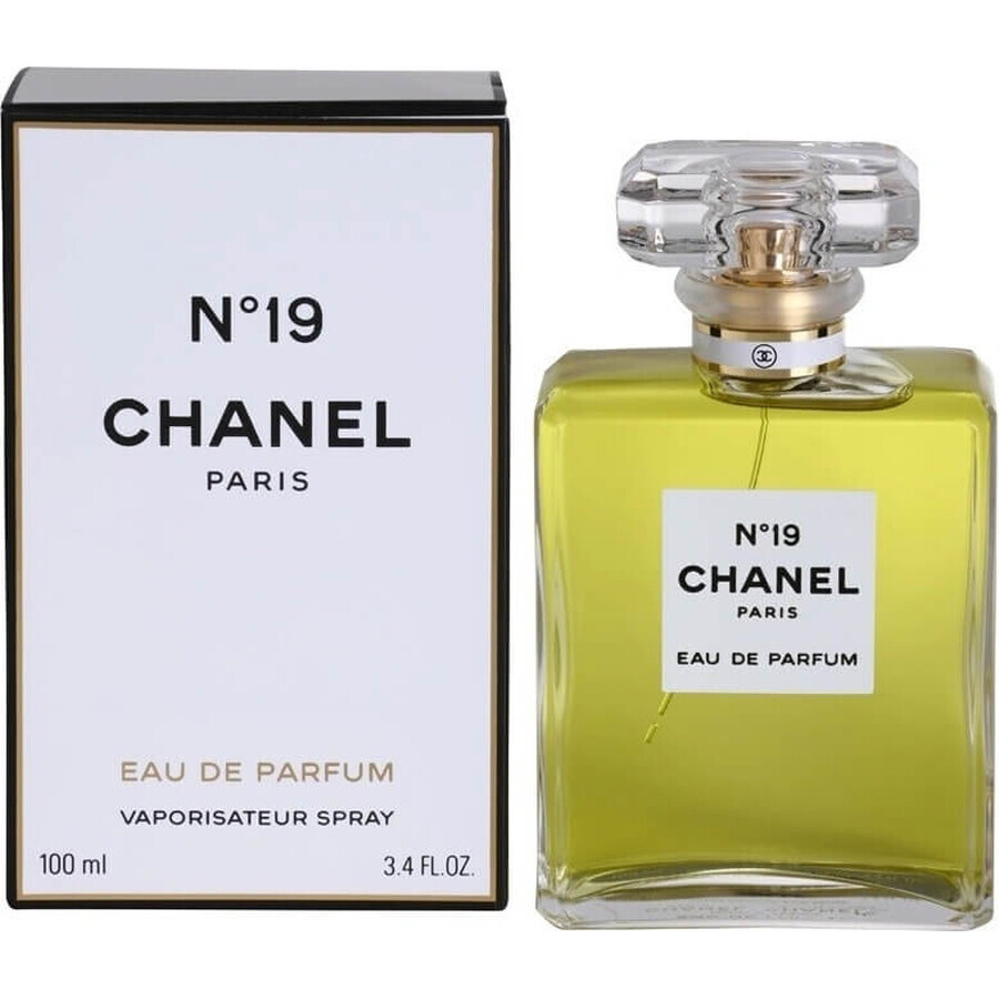 Chanel No. 19 Edp 100ml 1×100 ml 1×100 ml, eau de parfum