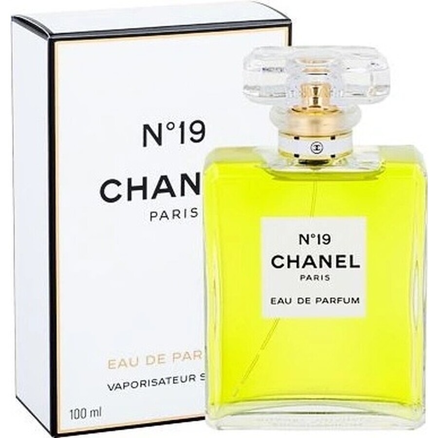 Chanel No. 19 Edp 100ml 1×100 ml 1×100 ml, eau de parfum