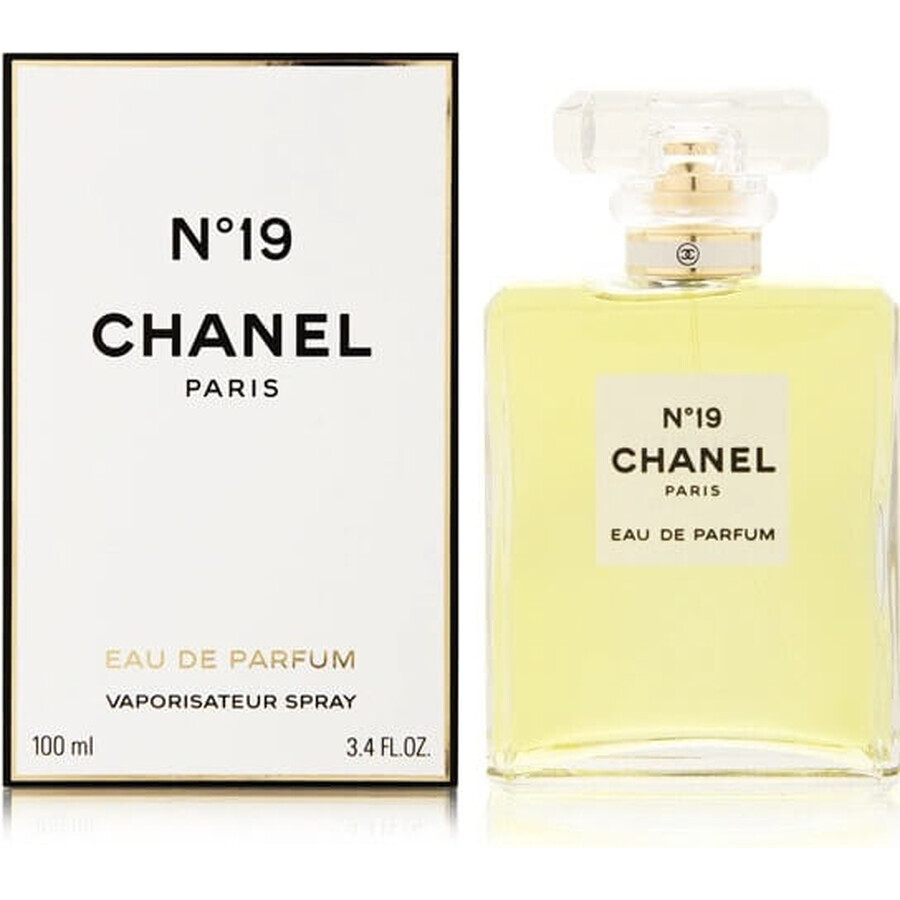 Chanel No. 19 Edp 100ml 1×100 ml 1×100 ml, eau de parfum