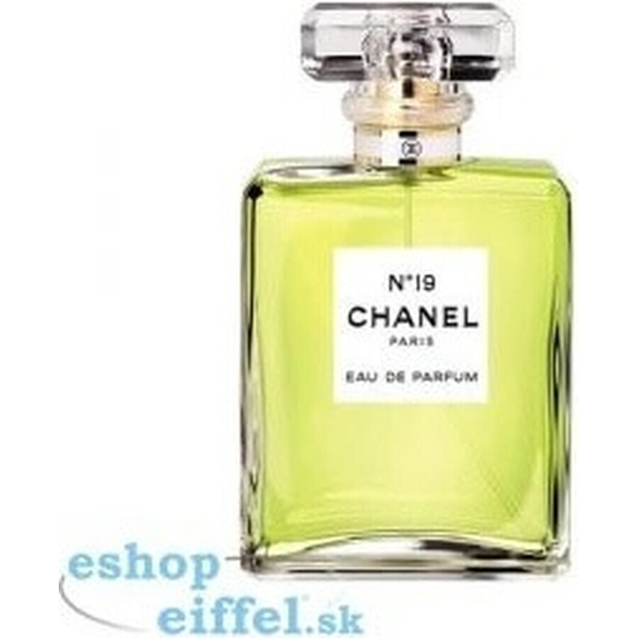 Chanel No. 19 Edp 100ml 1×100 ml 1×100 ml, eau de parfum