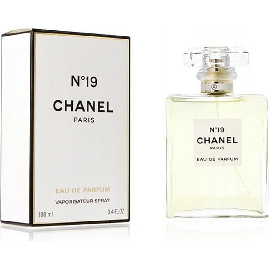 Chanel No. 19 Edp 100ml 1×100 ml 1×100 ml, eau de parfum