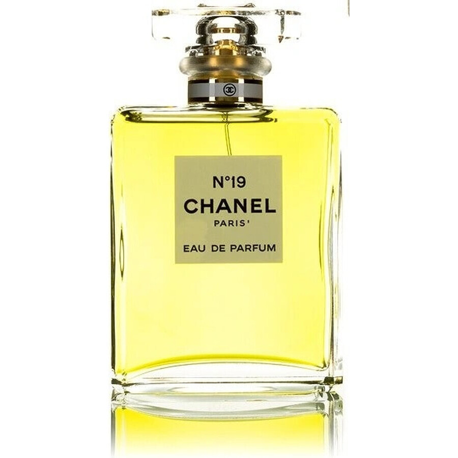 Chanel No. 19 Edp 100ml 1×100 ml 1×100 ml, eau de parfum