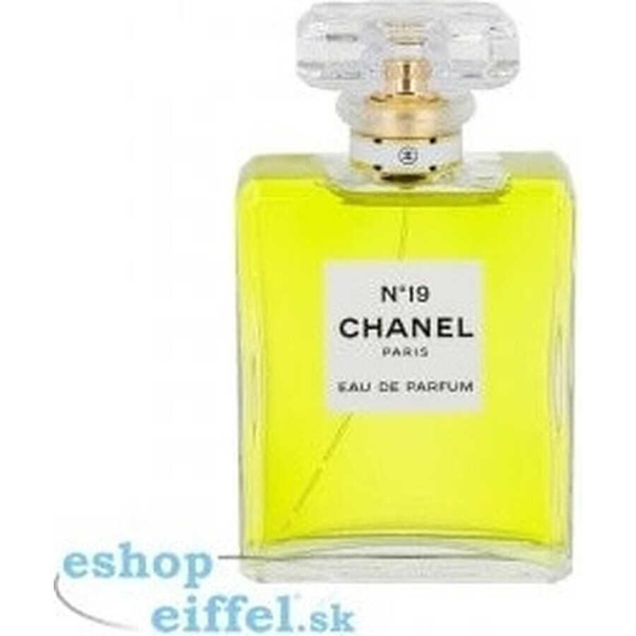 Chanel No. 19 Edp 100ml 1×100 ml 1×100 ml, eau de parfum