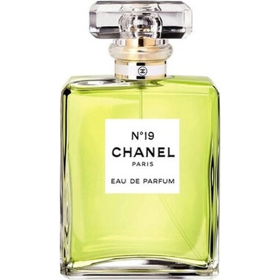 Chanel No. 19 Edp 100ml 1×100 ml 1×100 ml, eau de parfum