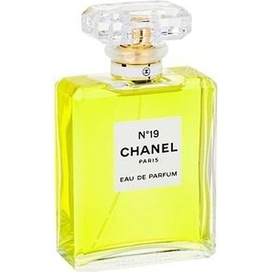 Chanel No. 19 Edp 100ml 1×100 ml 1×100 ml, eau de parfum