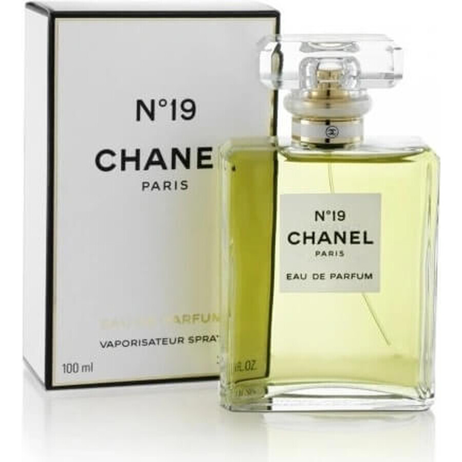 Chanel No. 19 Edp 100ml 1×100 ml 1×100 ml, eau de parfum