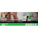 FRONTLINE COMBO spot-on voor HOND XL 3 x 4,02 ml 3x4,02 ml