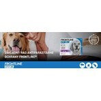 FRONTLINE spot-on voor HOND L 3 x 2,68 ml 3x2,68 ml