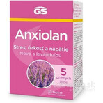 GS Anxiolan con lavanda 30 comprimidos 1×30 tbl, complemento alimenticio