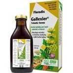 SALUS Floradix Gallexier 1×250 ml, forme liquide