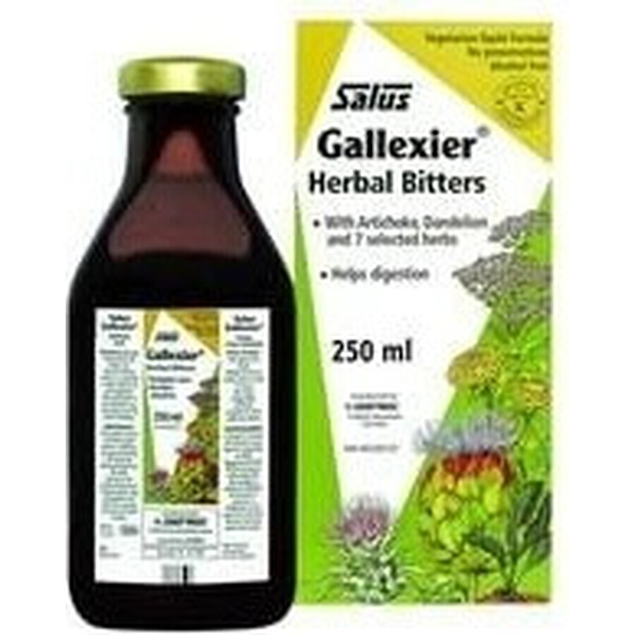 SALUS Floradix Gallexier 1×250 ml, forme liquide